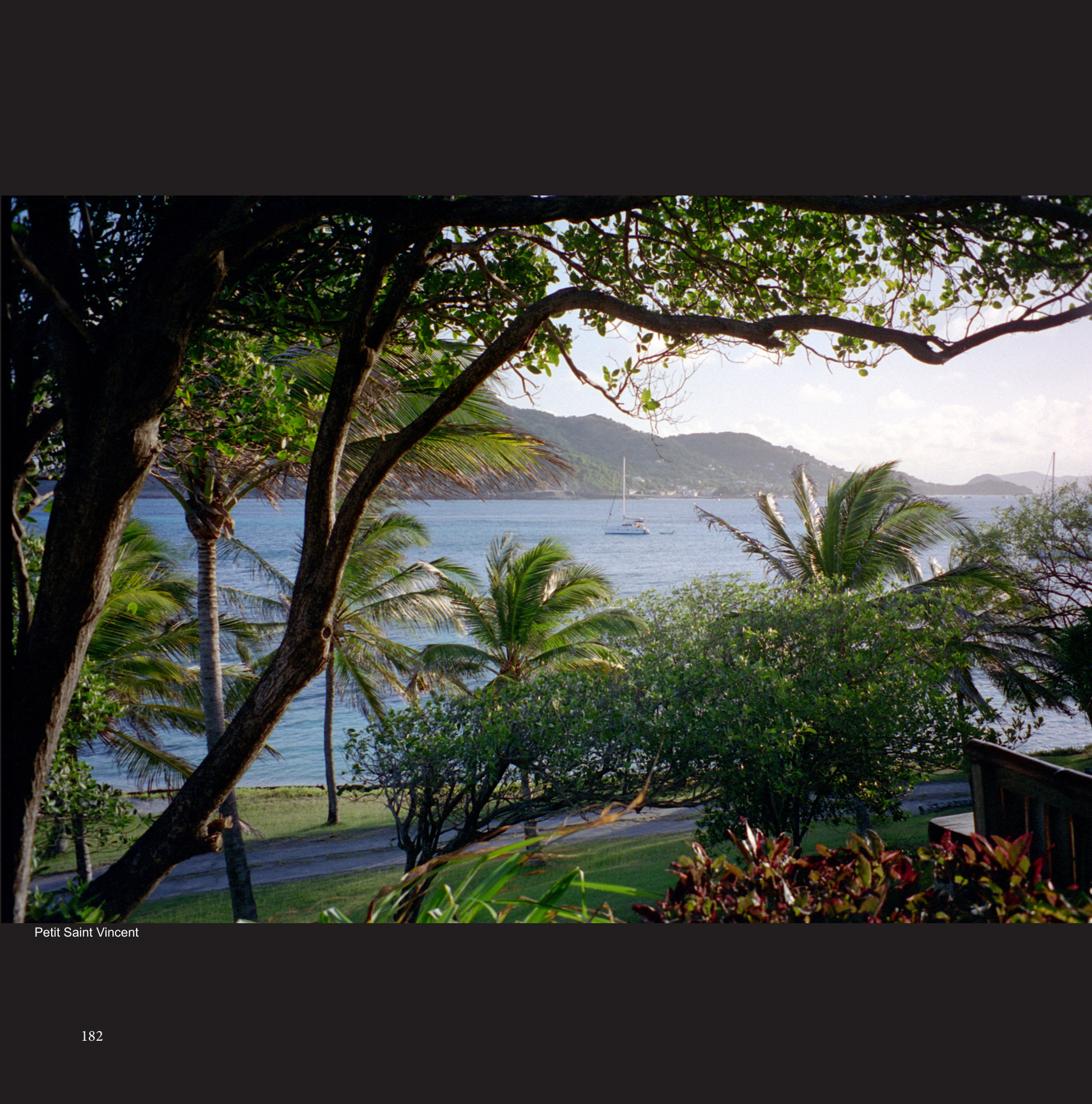 Petit Saint Vincent