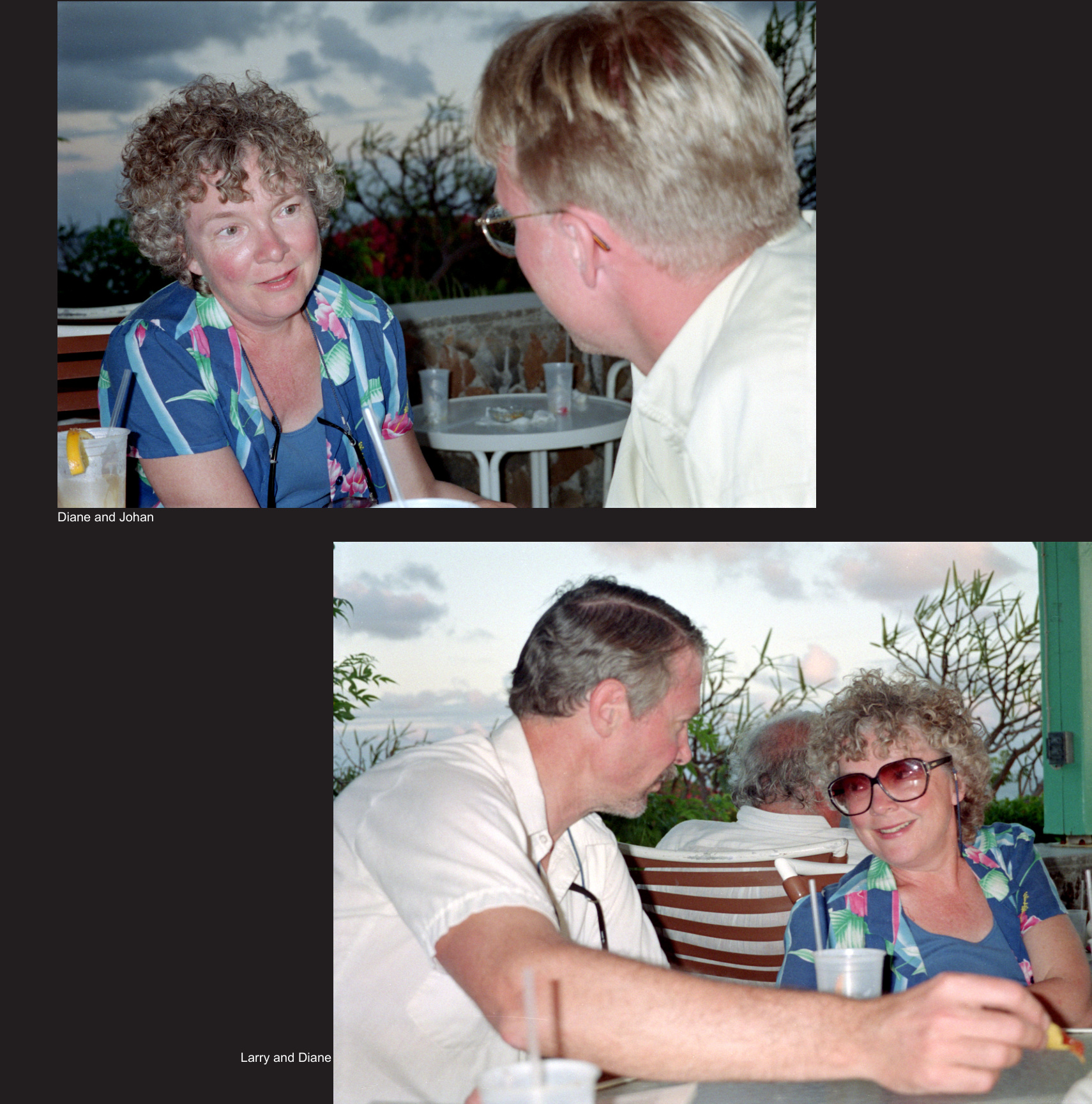 Diane and Johan
