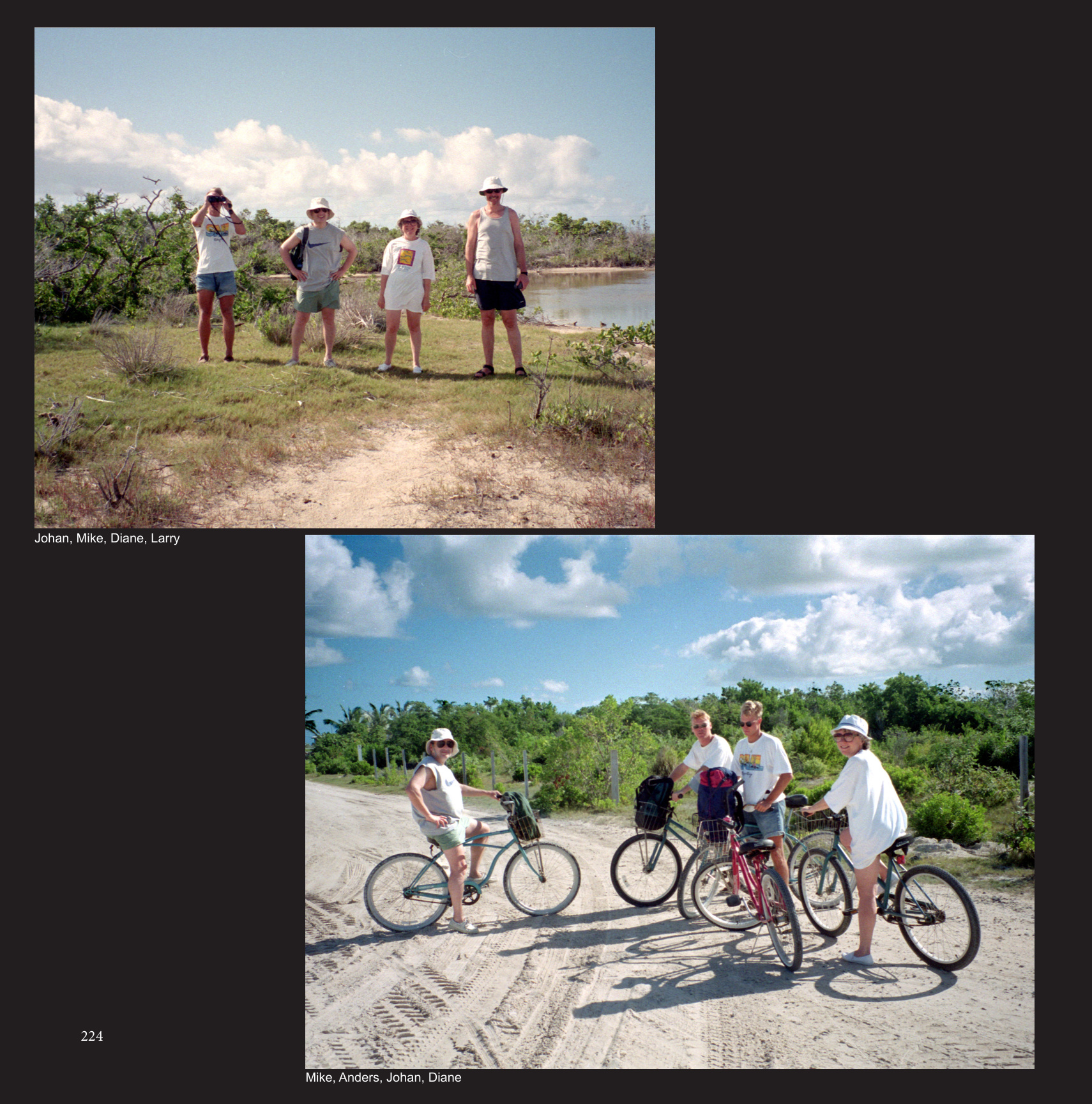 Johan, Mike, Diane, Larry